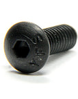 Flat & Button Head Screws
