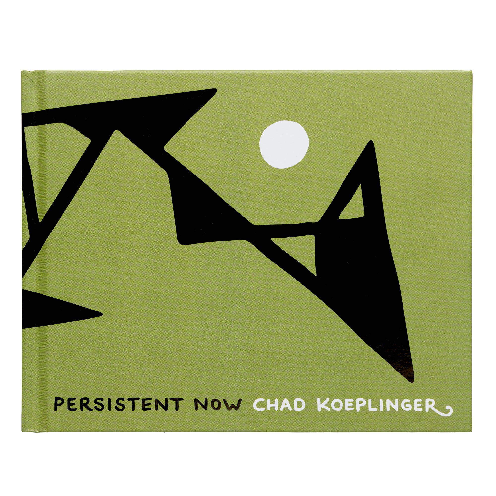 Chad Koeplinger Books