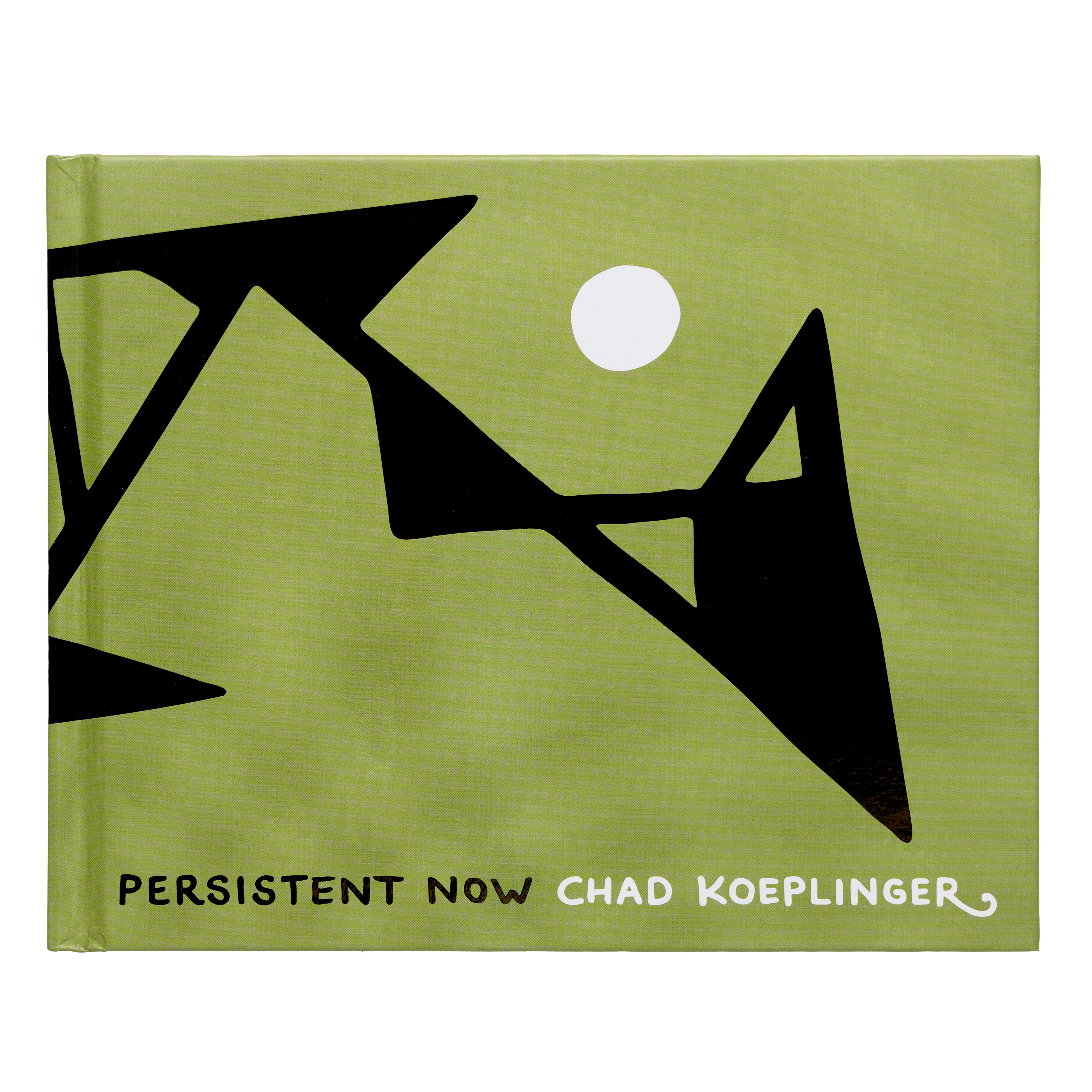 Chad Koeplinger Books