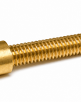 Short Brass Contact Screw
