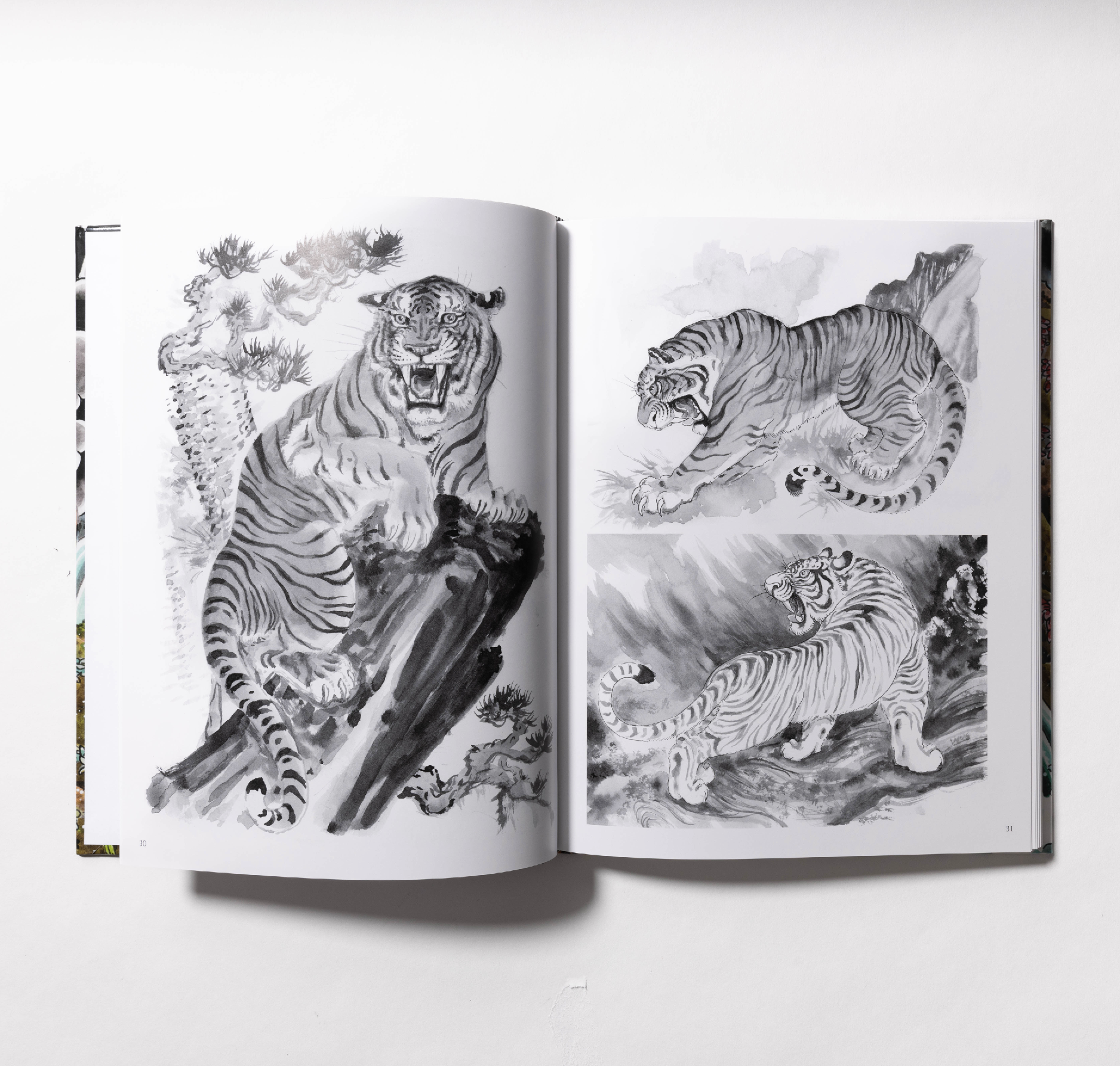 The Tiger Book - Tim Lehi Designs & Variations for Tattooing