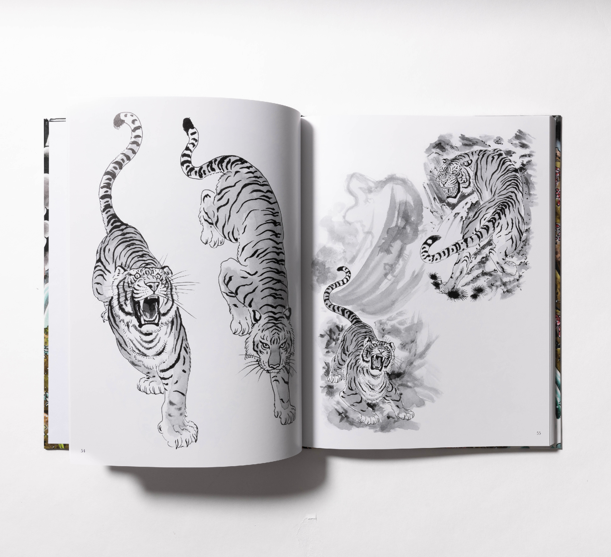 The Tiger Book - Tim Lehi Designs & Variations for Tattooing