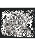 Tim Lehi Back in Black Flash Book and Flash Sets