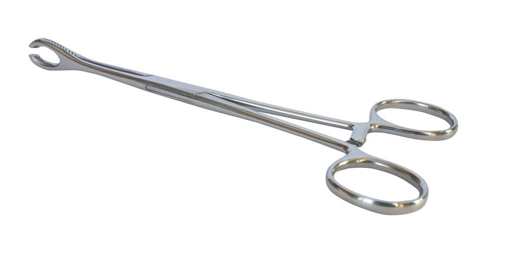 Stainless Steel Forceps