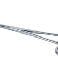 Stainless Steel Forceps
