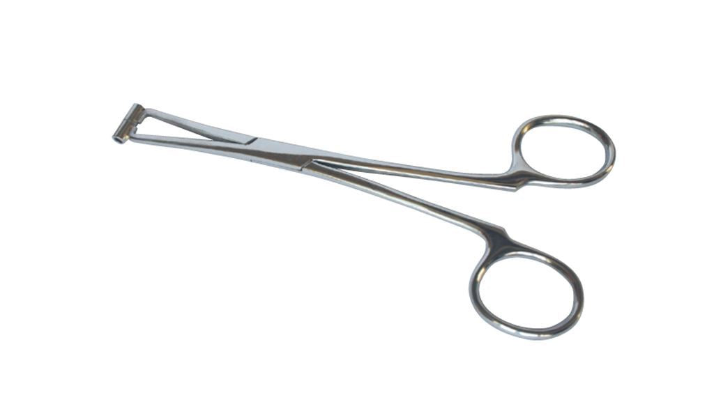 Stainless Steel Forceps